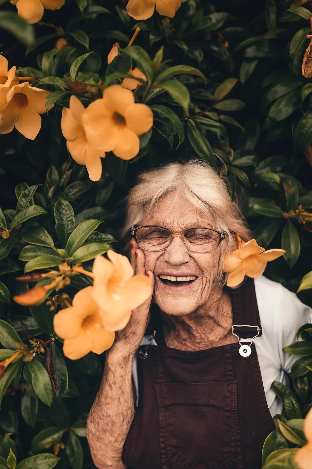 Flower Power: How Flowers Can Make Life Brighter for Seniors