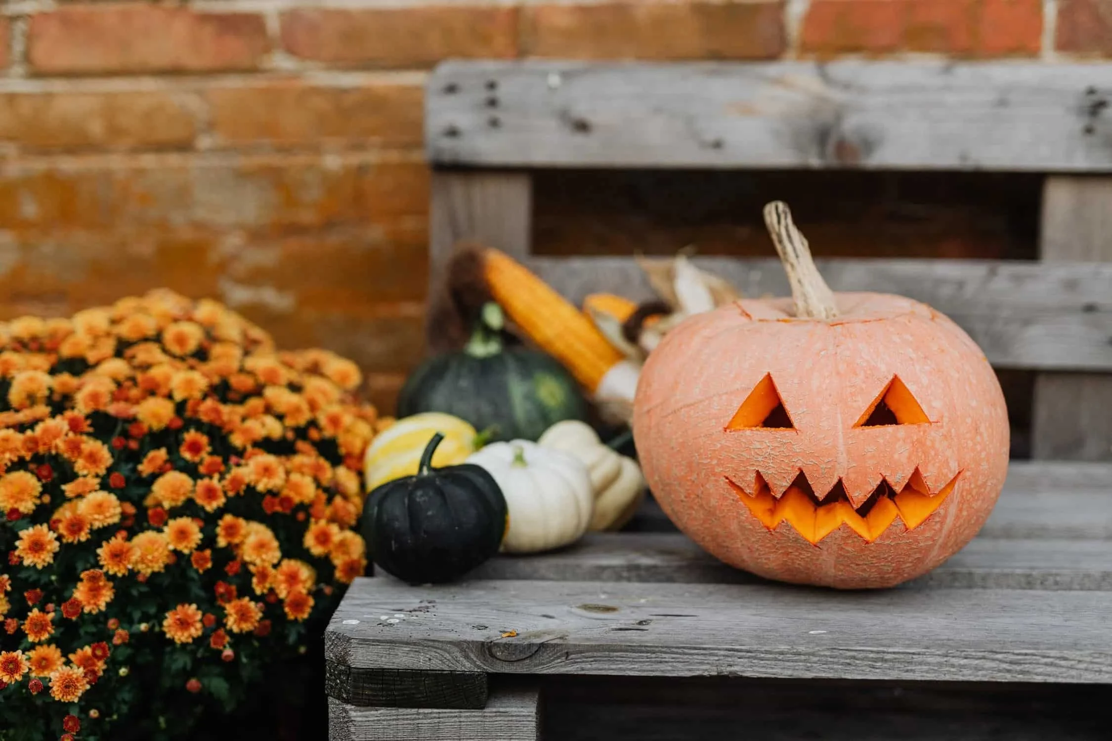 Halloween Fun for Seniors: Tricks and Treats for Celebrating