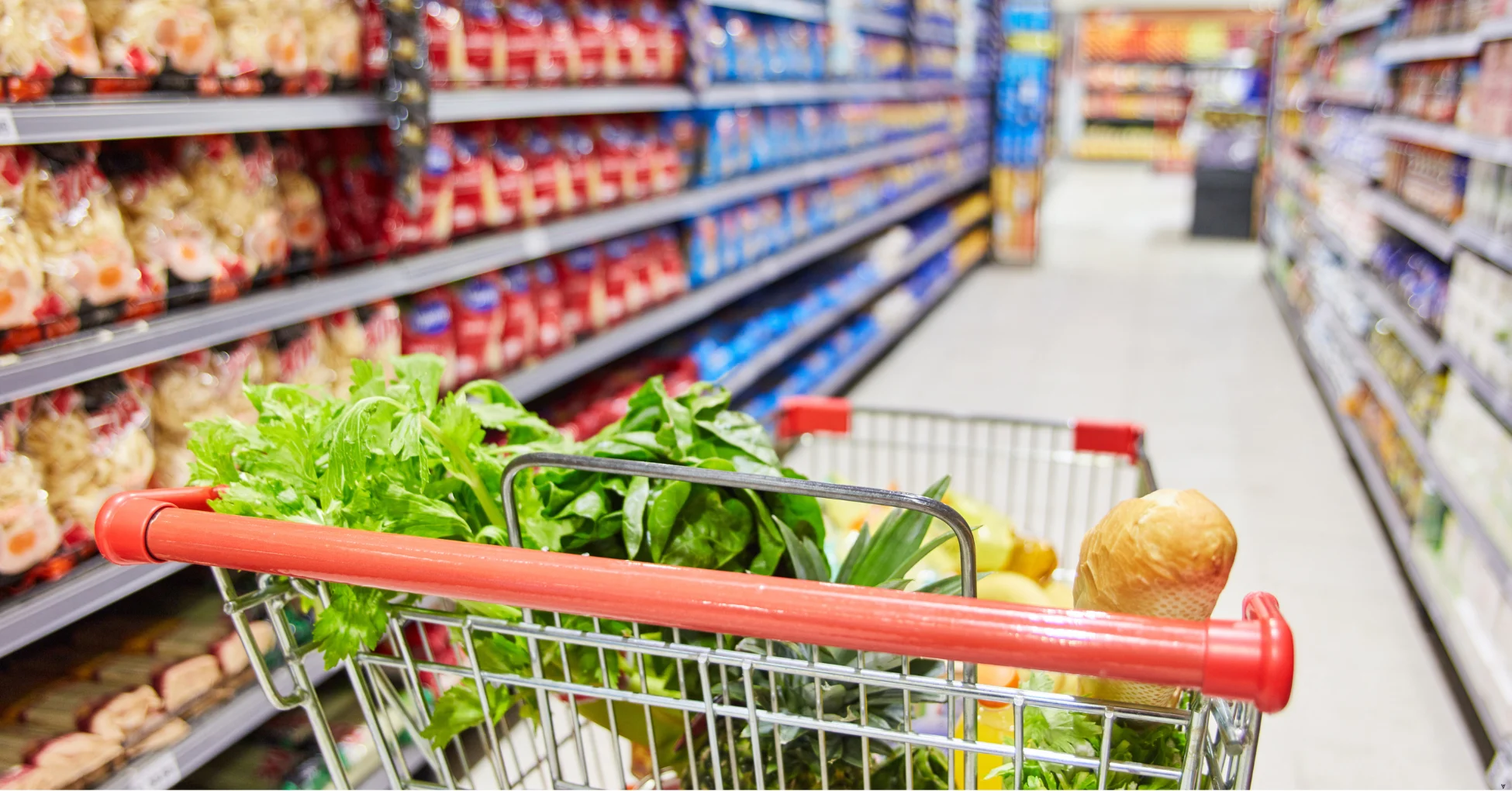 Nutrition and Diabetes in Seniors: A Guide to Healthy Eating