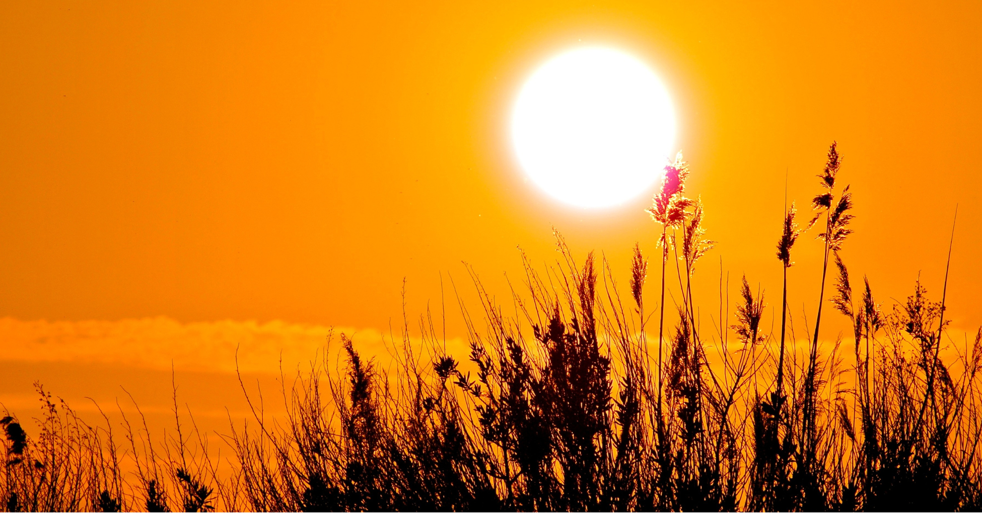 Bringing Light to Alzheimer’s on the Longest Day