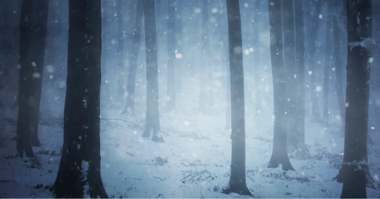 Seasonal Depression in Seniors: Recognizing the Signs